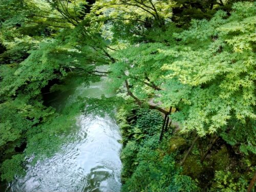 橋からの眺め