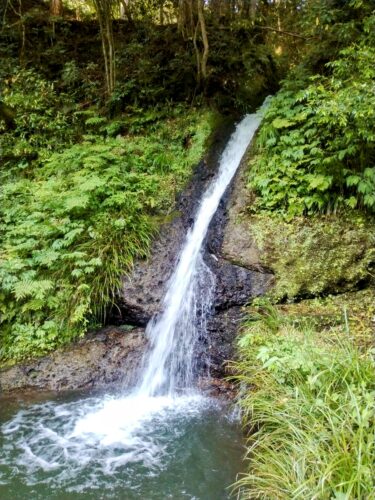 川床の後ろの流れている小さな滝