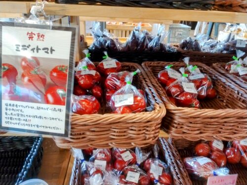 真っ赤に熟れた完熟トマト