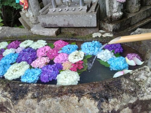 花の寺平等寺