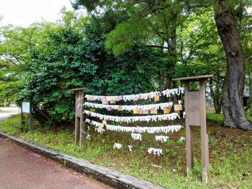 見附島のおみくじが結ばれている場所