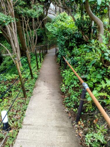 青の洞窟までの遊歩道