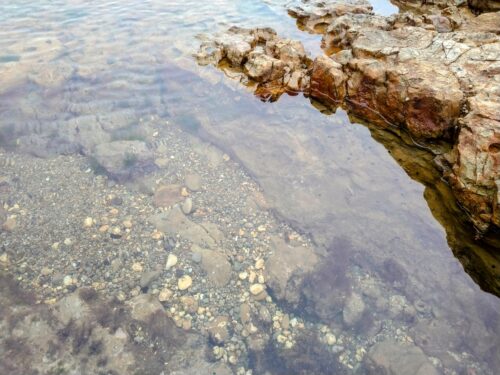 泳いでいる魚が見えるほど綺麗な海水