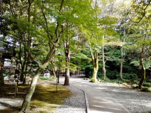 尾山神社の境内