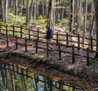 美人林を散歩する夫