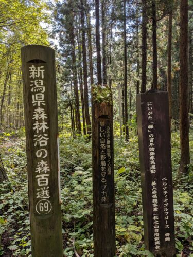 新潟県森林浴100選の美人林