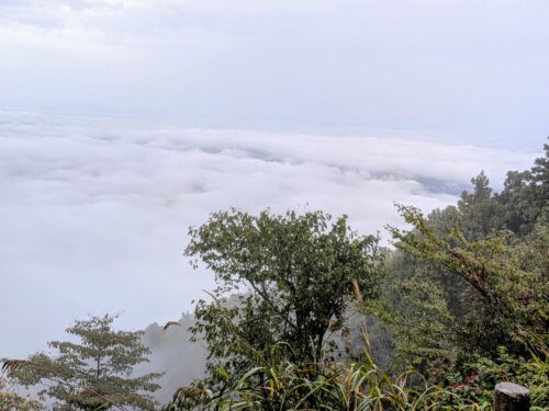雲海が広がる弥彦山頂上