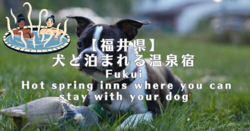 【福井】犬と泊まれる温泉宿
